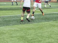 高老师,排列三,期实战主防,上海体彩,上海体彩网,上海体彩网官网,体育彩票,体彩大乐透,竞彩足球,体彩公益