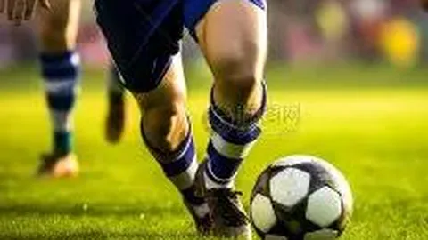 上海体彩网 资讯 112219 tu6