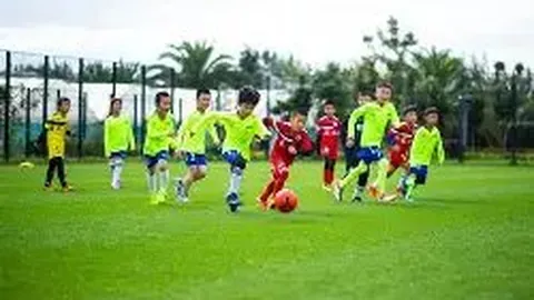 2026年双色球第021期专家红球3胆推荐分析